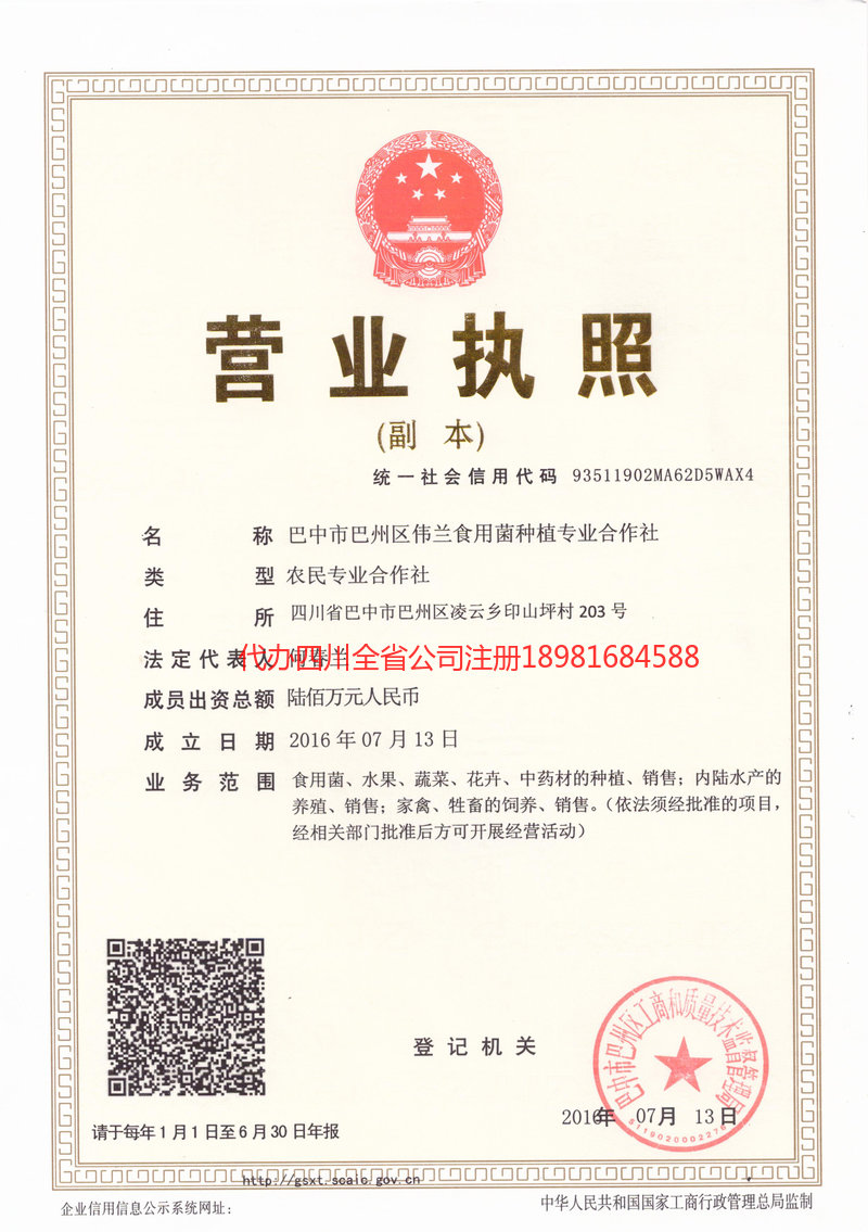 奎屯奎屯伟兰食用菌种植专业合作社